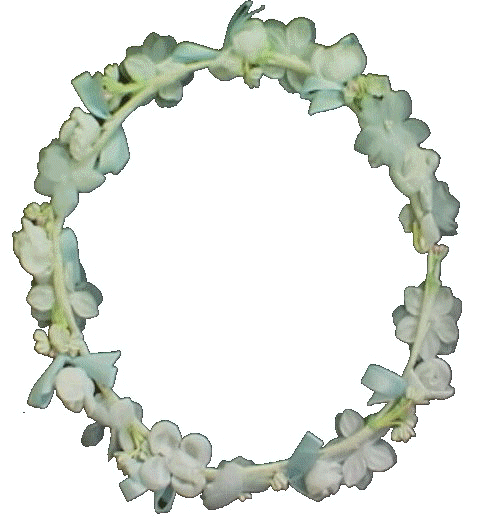 Circlet of flowers
